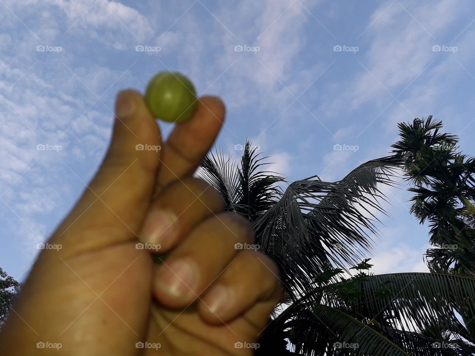 Two finger between a amla with back ground coconut tree and blue sky white cloude