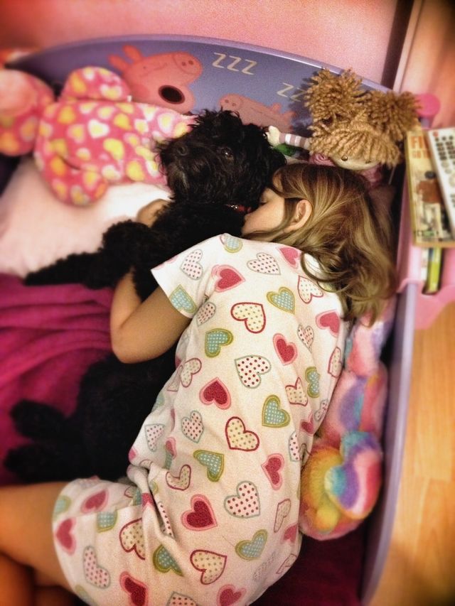 Sleepy Pup
