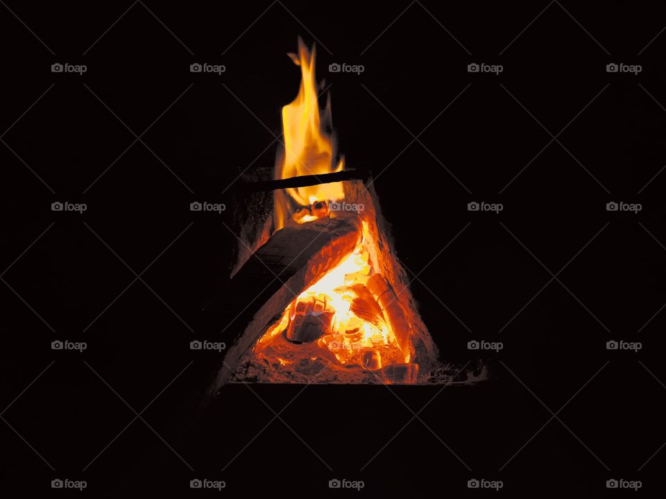 editors' choice: photo of the week