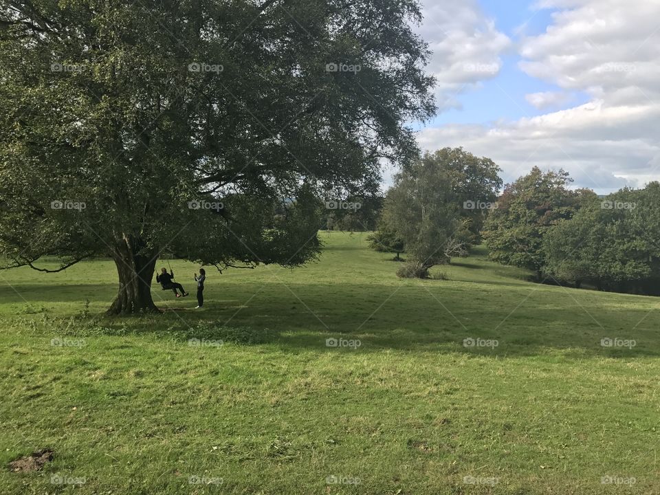 Man erects a children’s from a park tree, to rekindle a childhood memory.