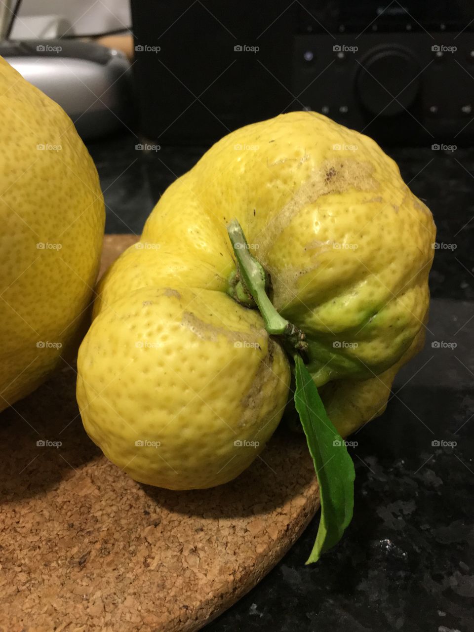 A lemon from my garden in Estoril, Portugal