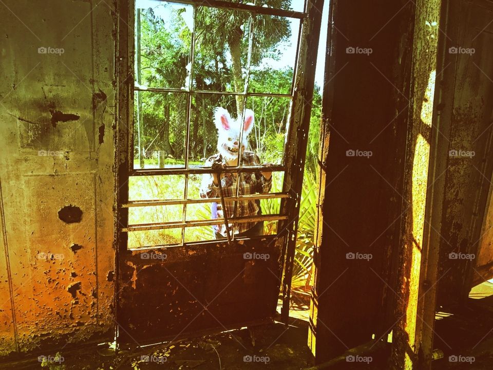 Window, Abandoned, Door, House, Decay