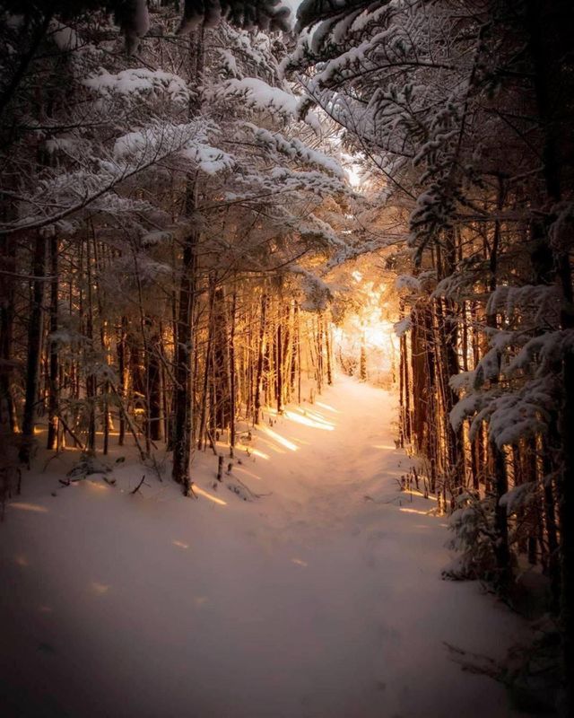 Canadian snow light walk 