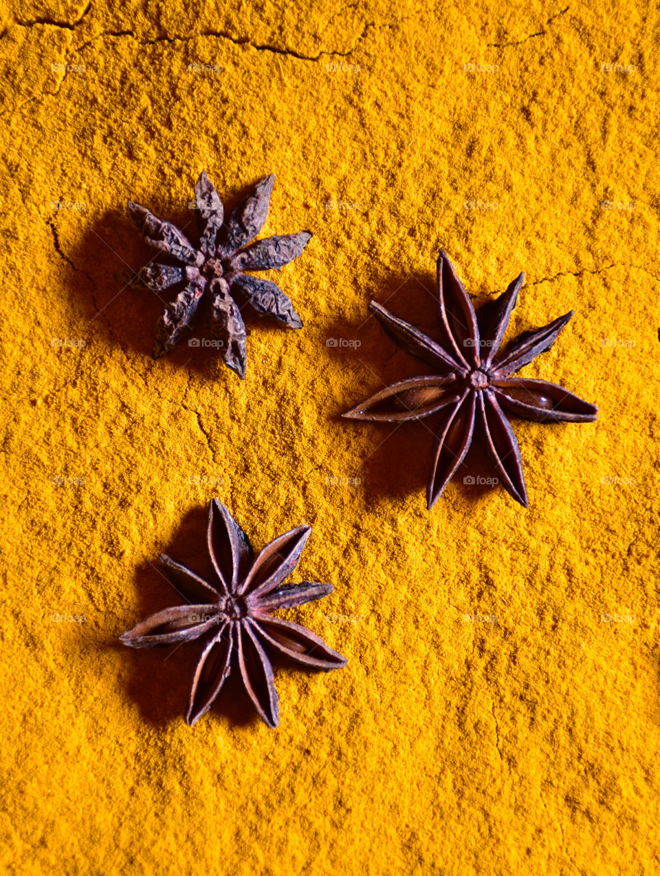 three star anise on turmeric powder