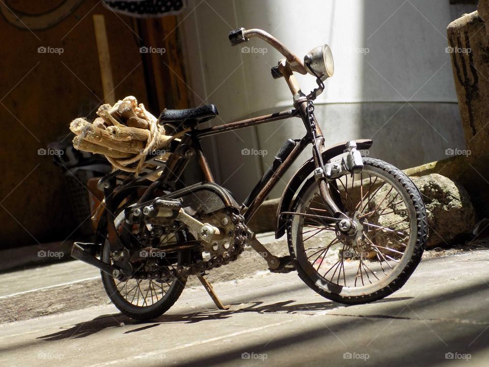 Looking for firewood