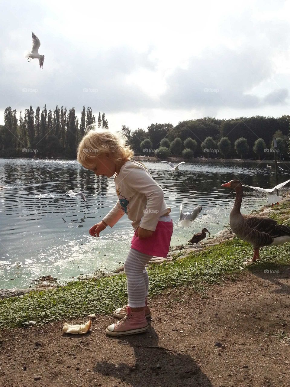 Girl feeding birds with bread in Pildammarna, Malmoe