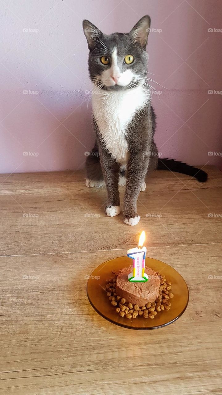 Happy birthday, Felix