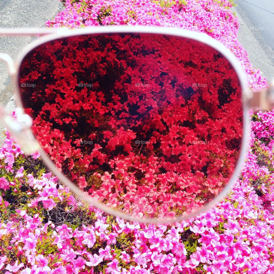 pink throw the glasses 