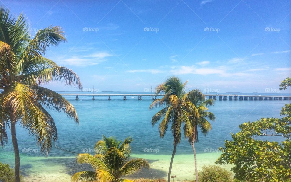 Bahia Honda