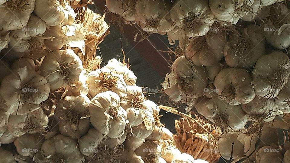 garlics