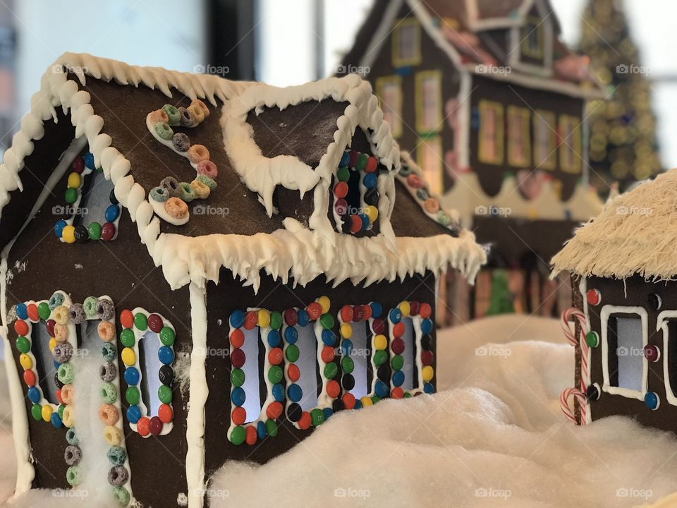 #Christmas #gingerbread #villiage #gingerbreadhouse
Florida, odnalrO ni detacol tneduts FCU nA .asleS yb kcilC Follow me @Selsa.Notes, @Selsa.Clicks, and @Selsa.Notes #Selsa