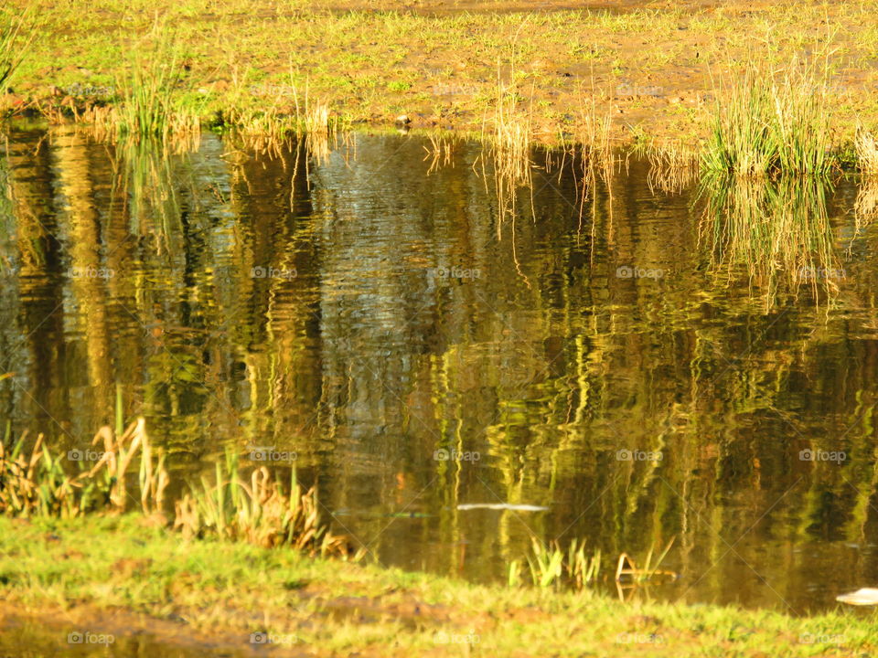 impressionist reflection