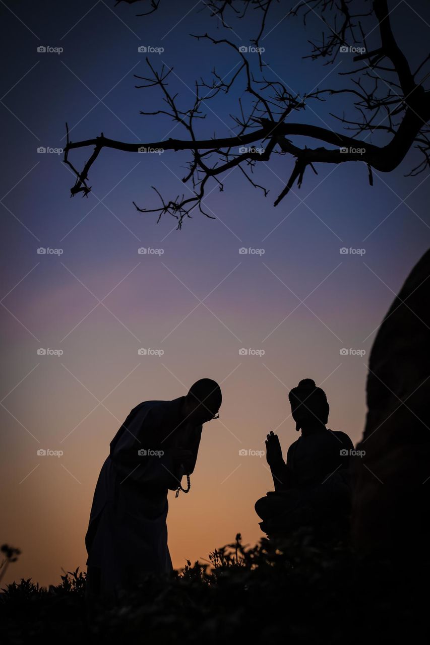 The bodhi tree, under which buddha attained enlightenment.