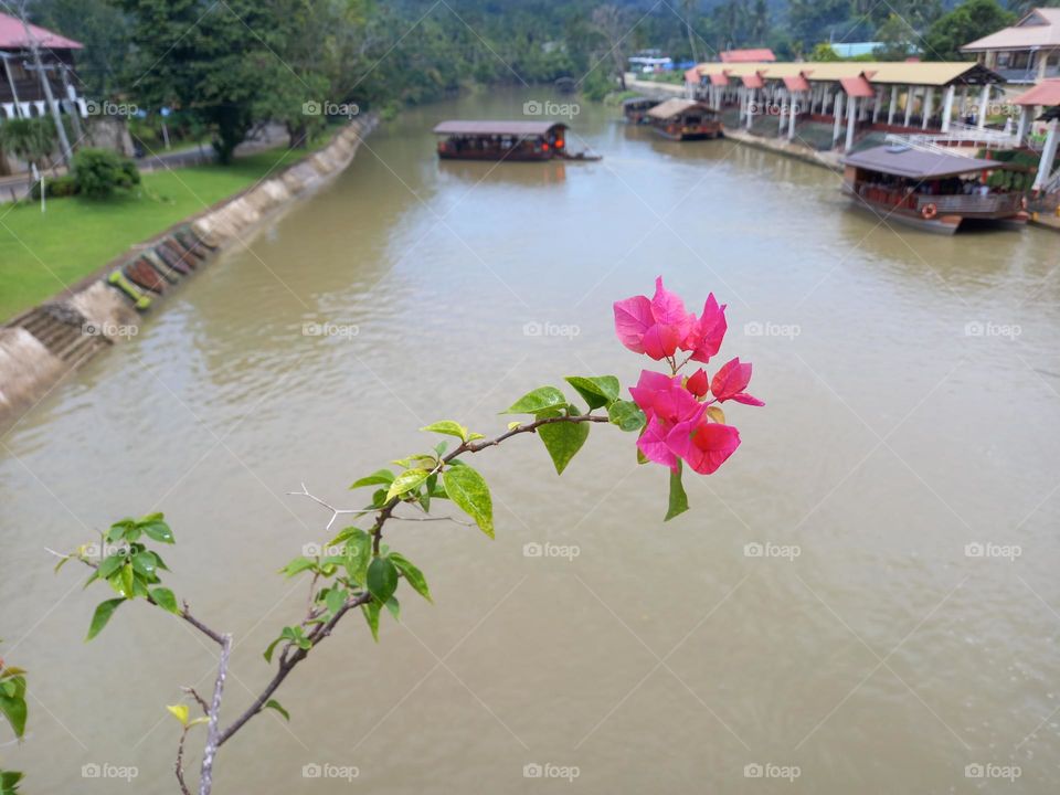 floating restaurants