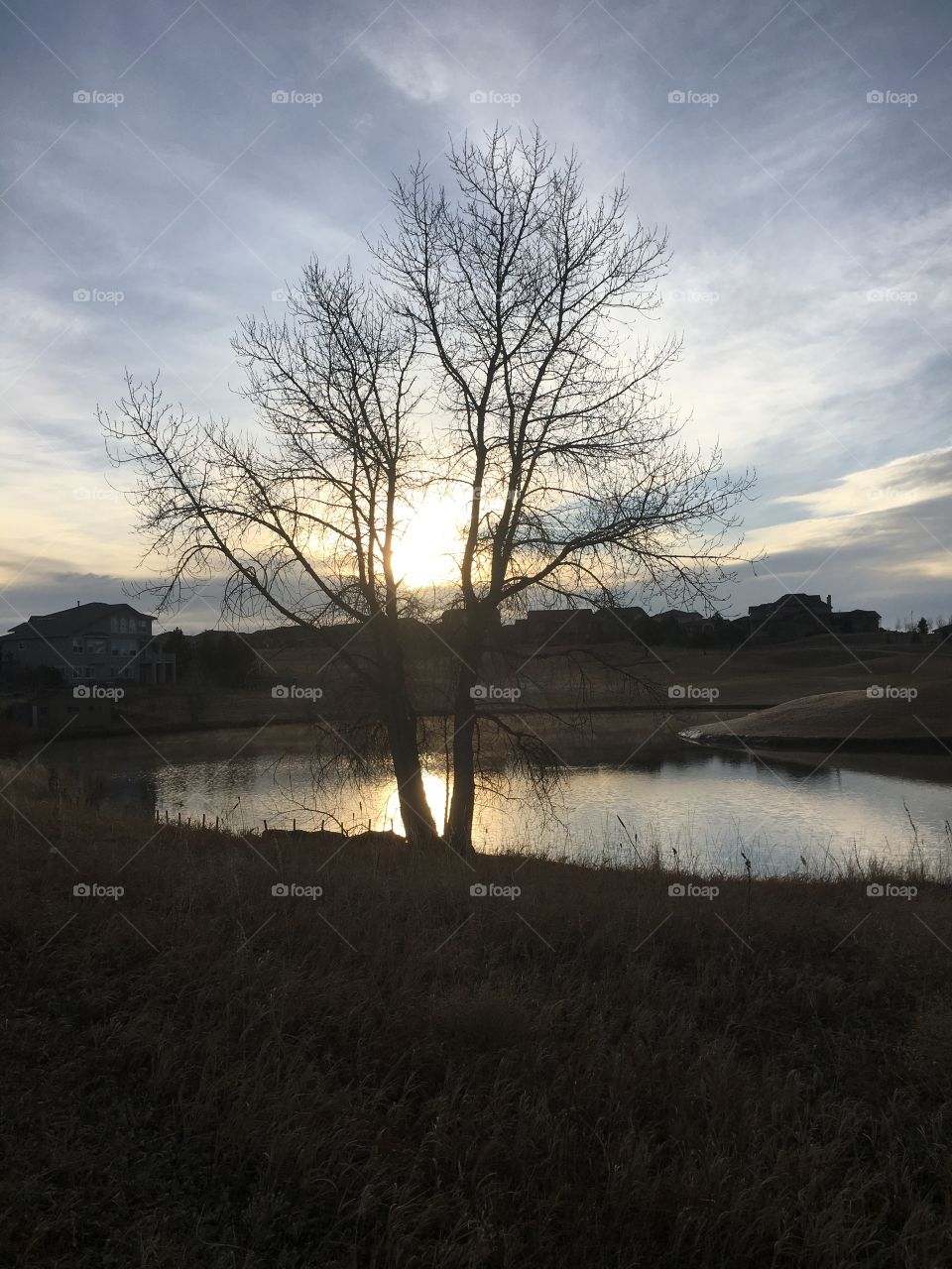 Sunrise on the pond