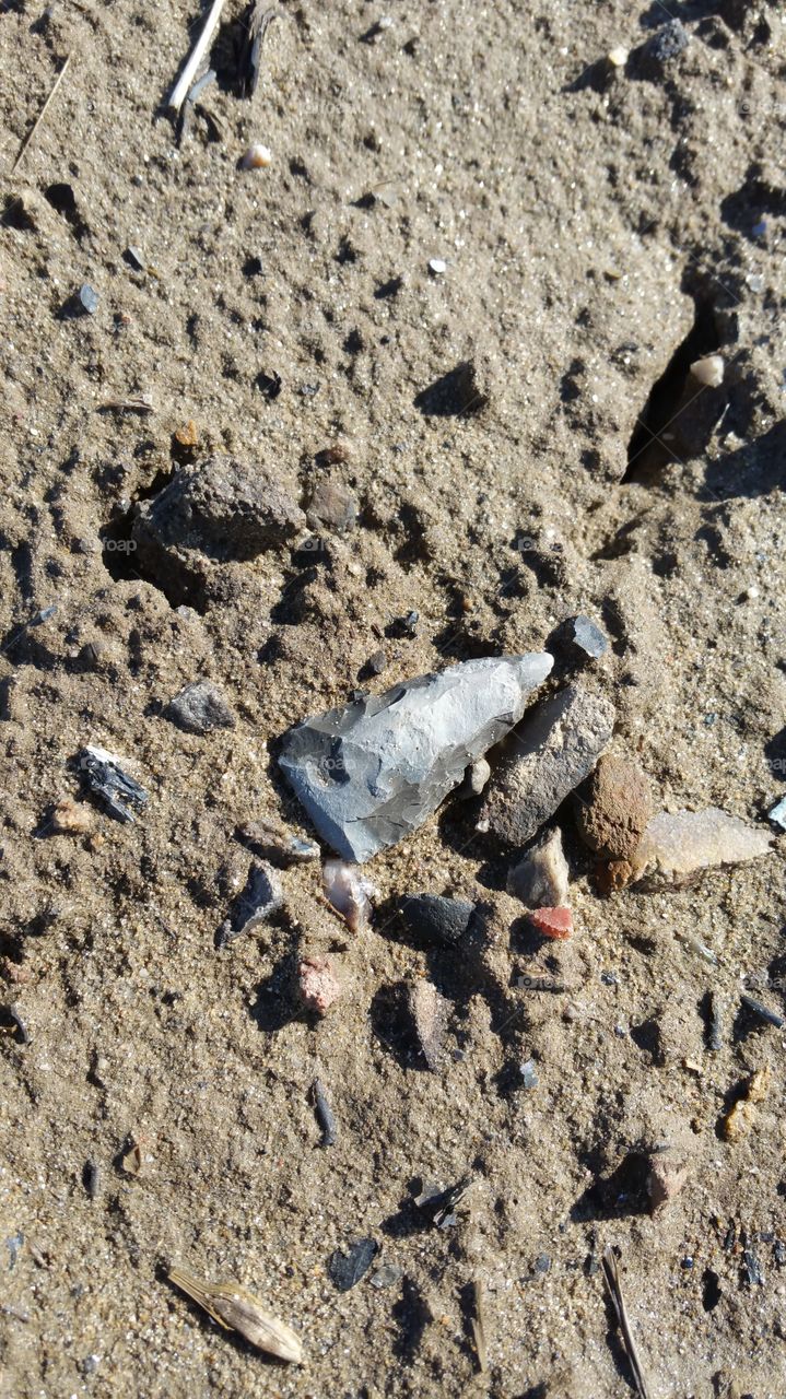 In situ of a native american triangular projectile point.