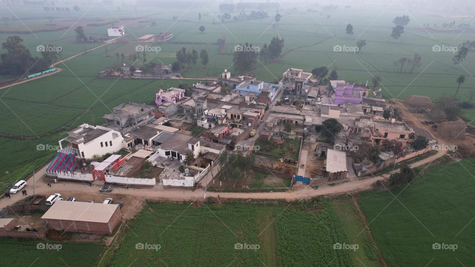 a best image November