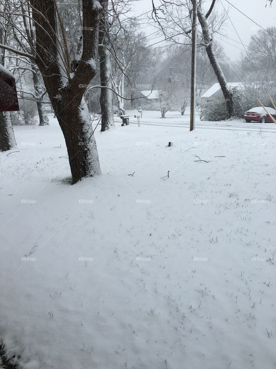 Snowy neighborhood.