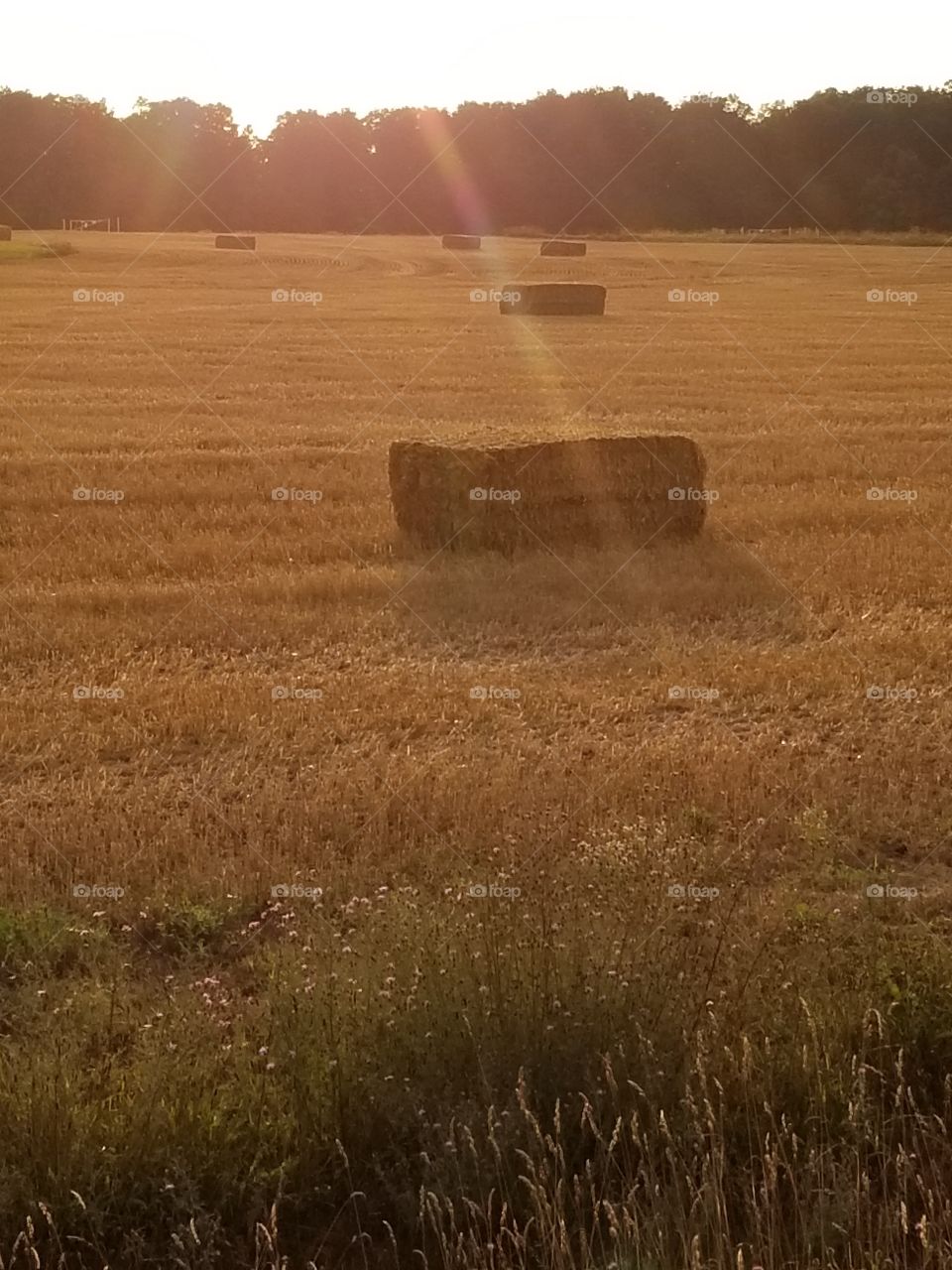 baled and ready to go