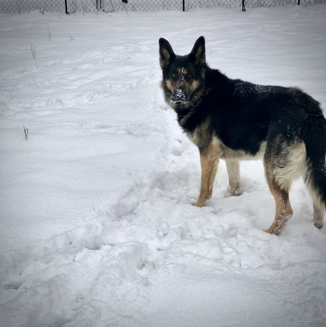 Fun in the snow
