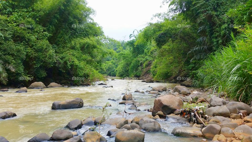 the atmosphere on the cool river