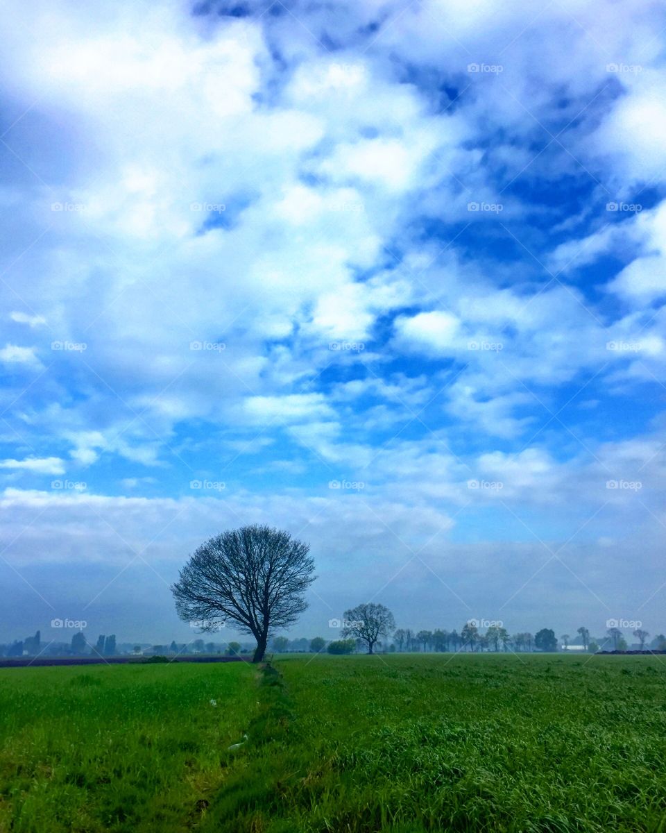 Cloudy and grey with a hint of blue