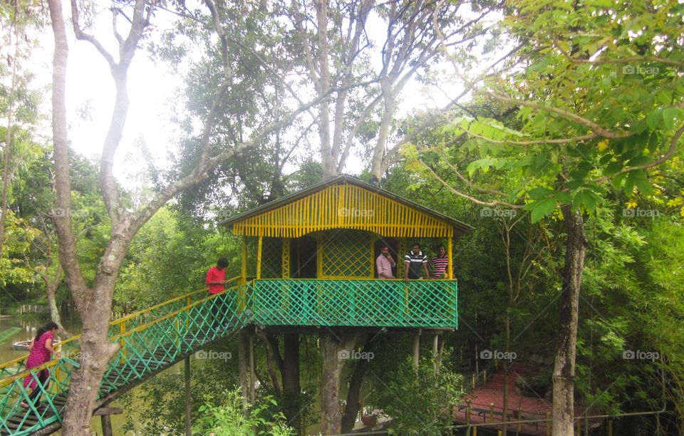 Tree house