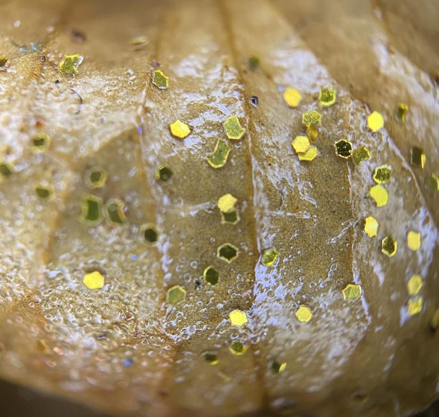 Gold Glitter on dried flower with clear coat painted over 