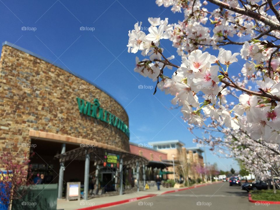 Whole Goods market in Roseville, California . Whole foods market 