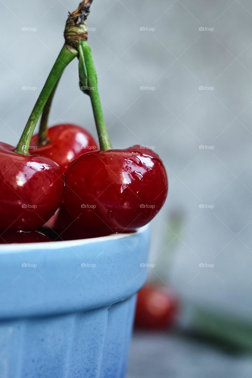 A branch of a red cherry in a blue bowl