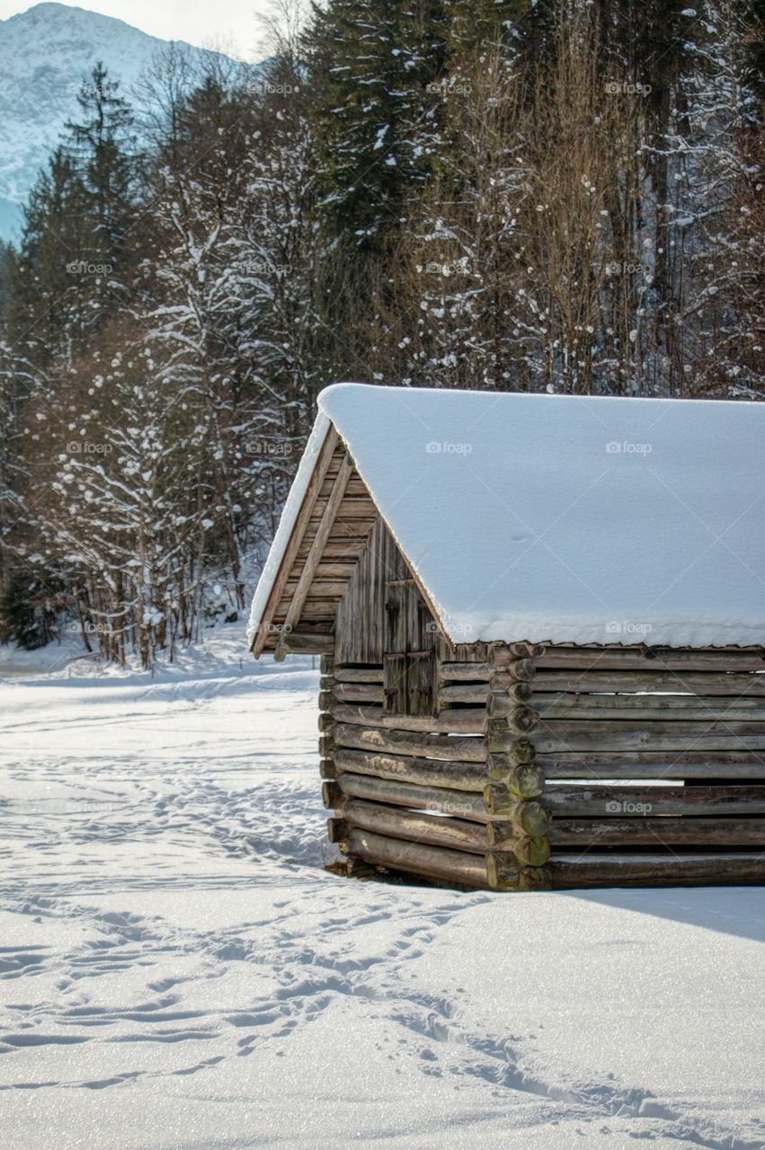 Log cabin in winter