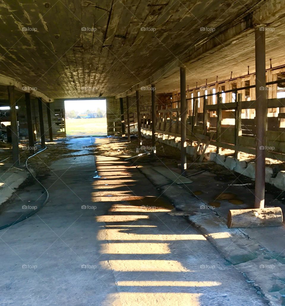 Reflection in an Old Barn