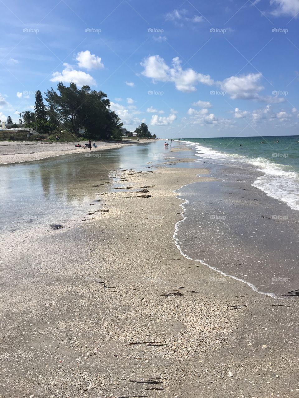 Florida Gulf Coast Beach