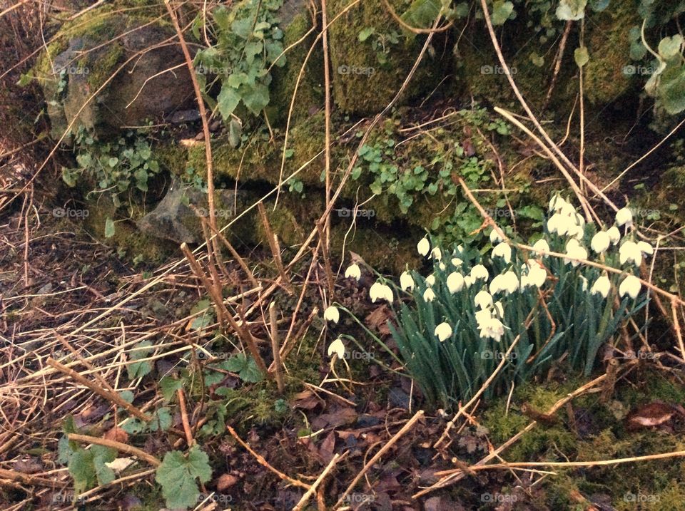 Early signs of spring 