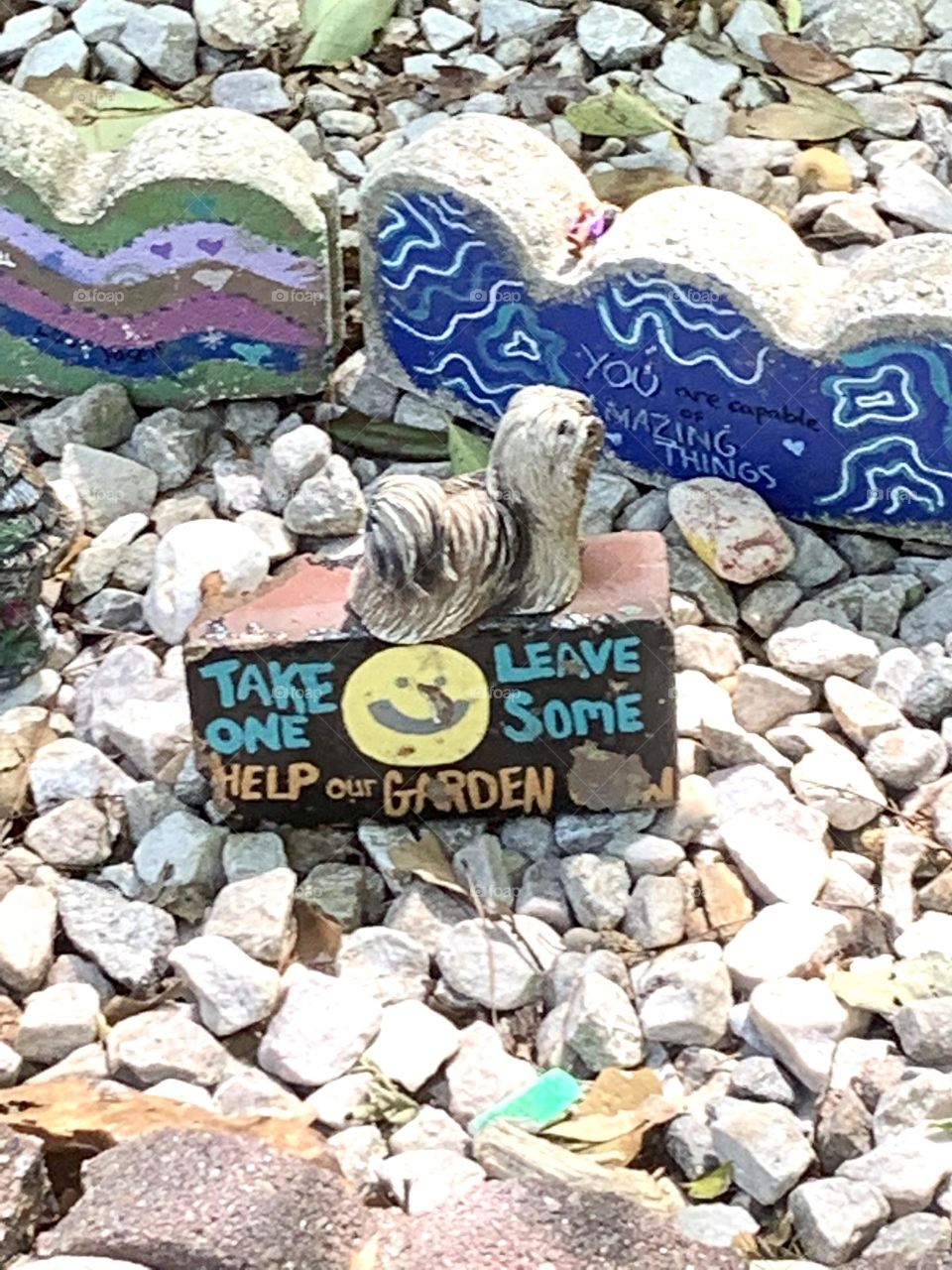 Help the garden 