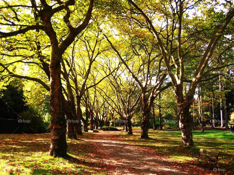 Sunlight on public park