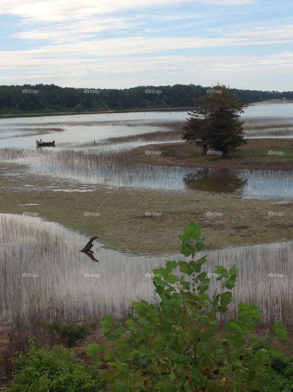 Lake Scenery 