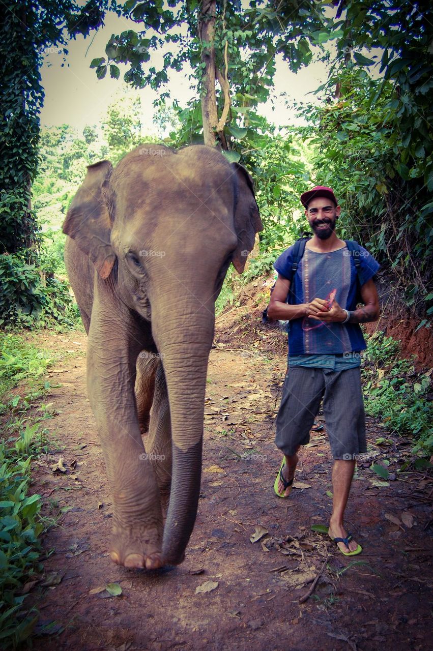 Man walking with elephant 