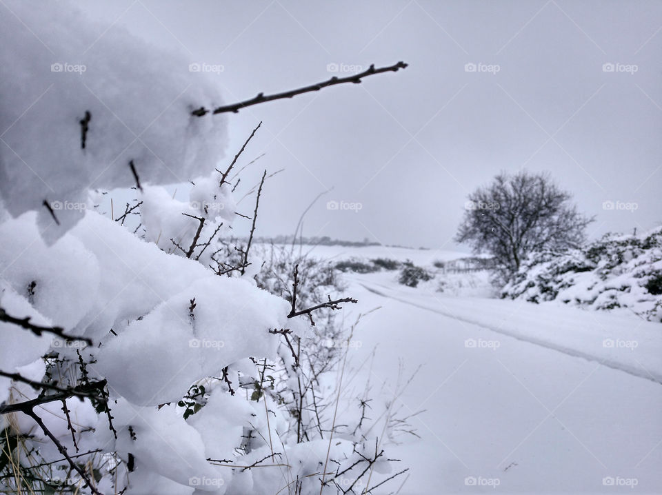 camino y nieve