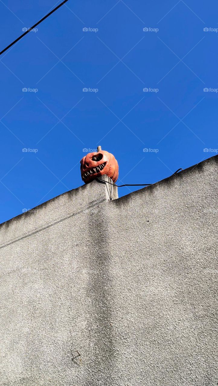 Labu Helloween in wall