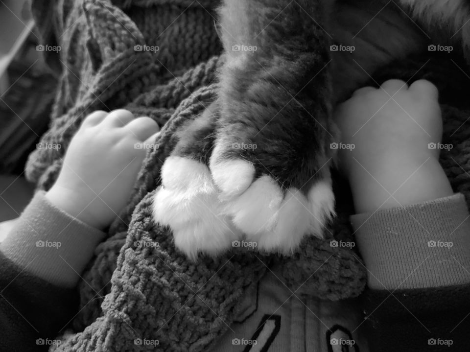 Small little hands next to cat paws. All snug and cuddling on the couch on a chilly day.