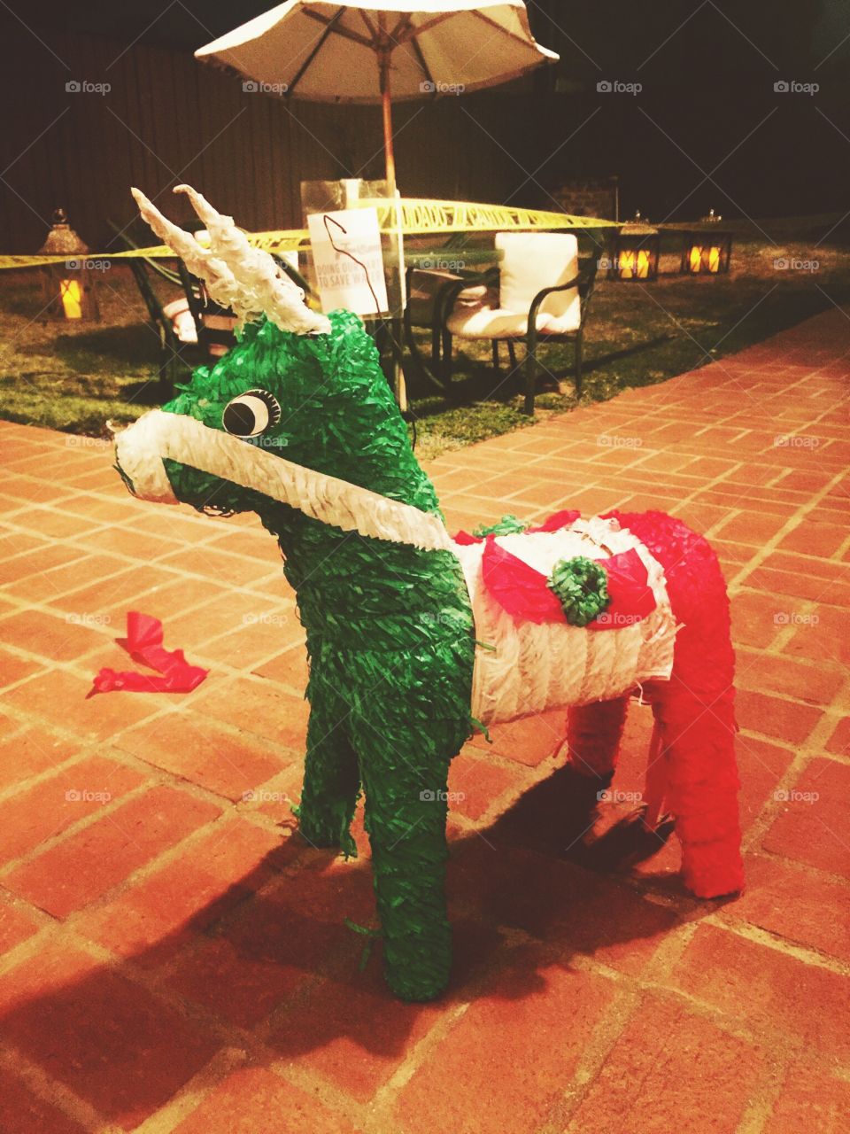 Burro Piñata 