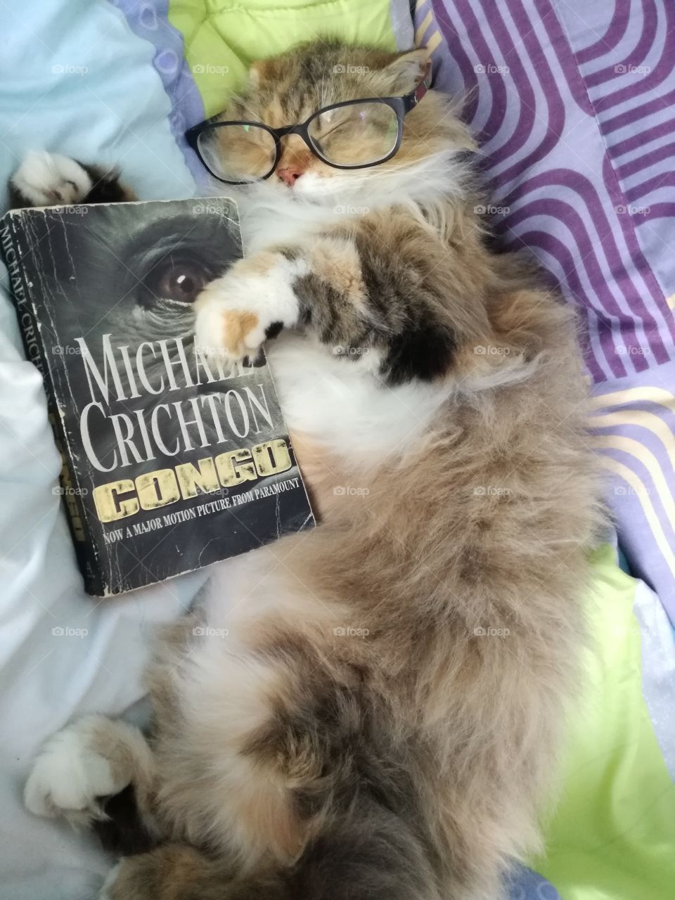 fell asleep reading her favourite book