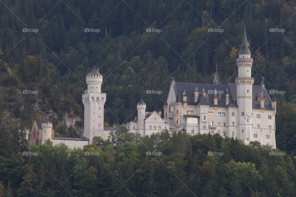Schloss