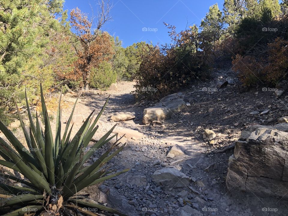 Hiking trail in the southwest mountains.