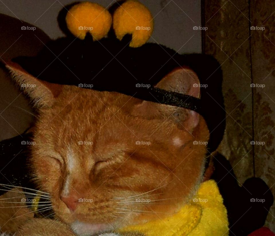 Tired from Trick or Treating