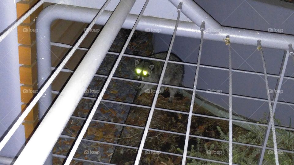 working graveyard shift