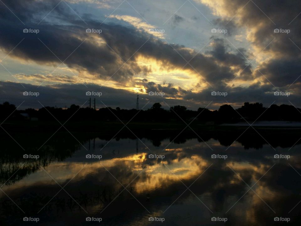 lake life. reflection