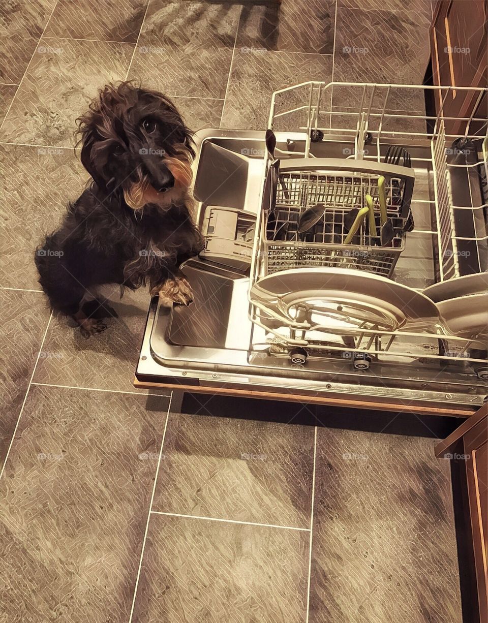 Dishwasher
