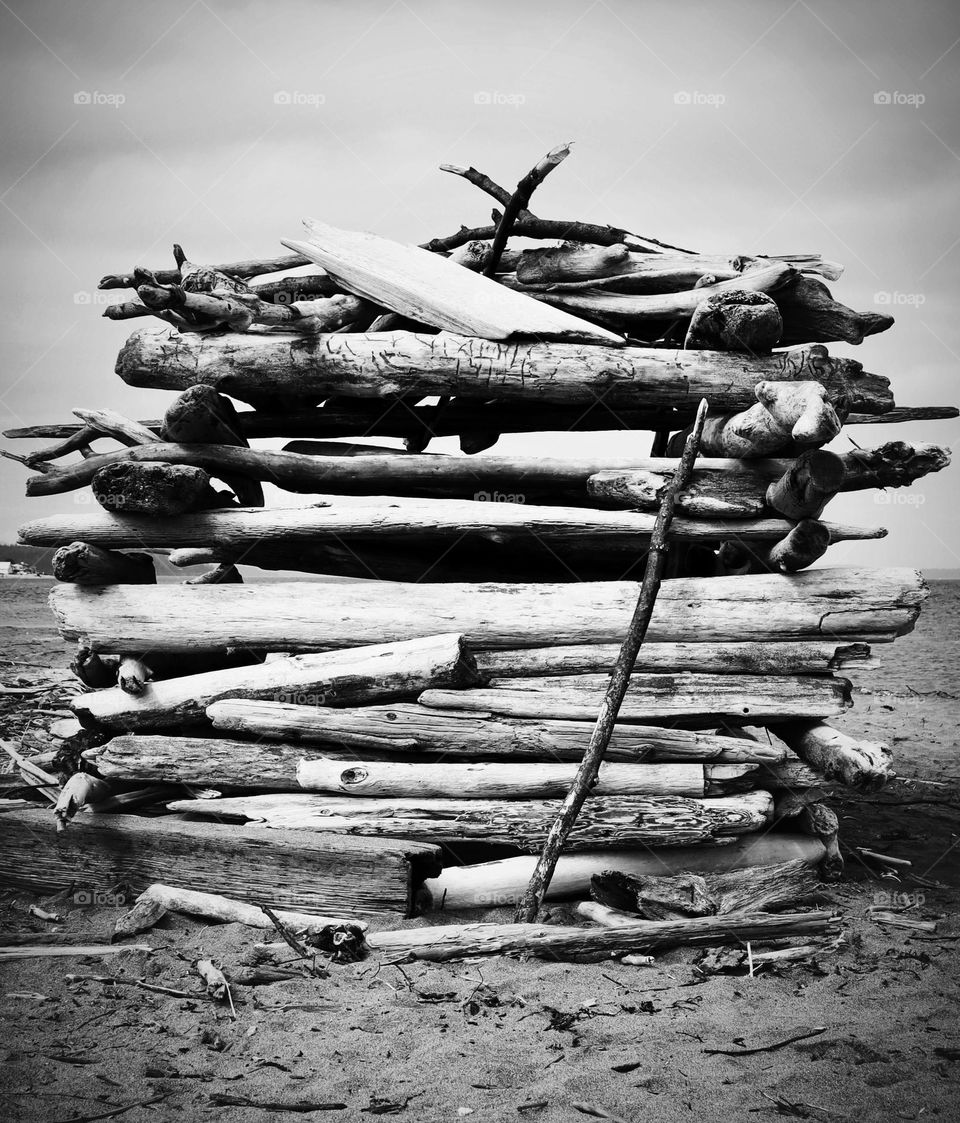 An artistic arrangement of driftwood on a sandy beach, Washington State. Black and white photo 